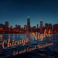 Chicago Night